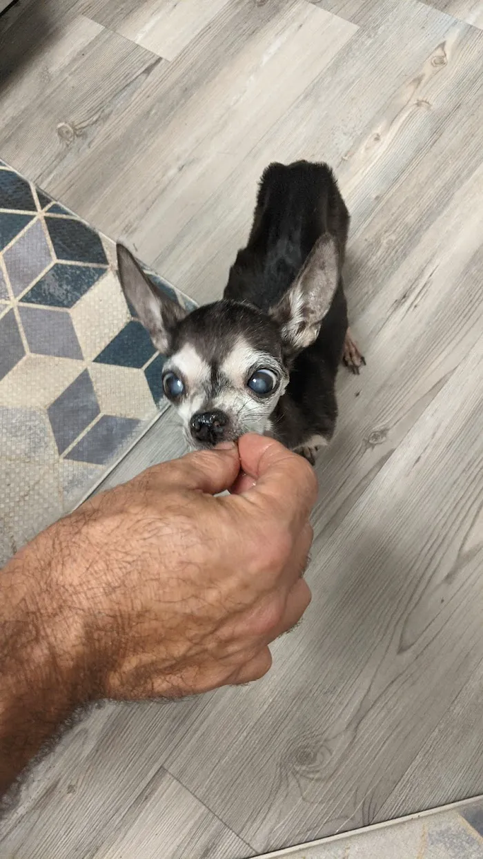 River Oaks Animal Hospital 7