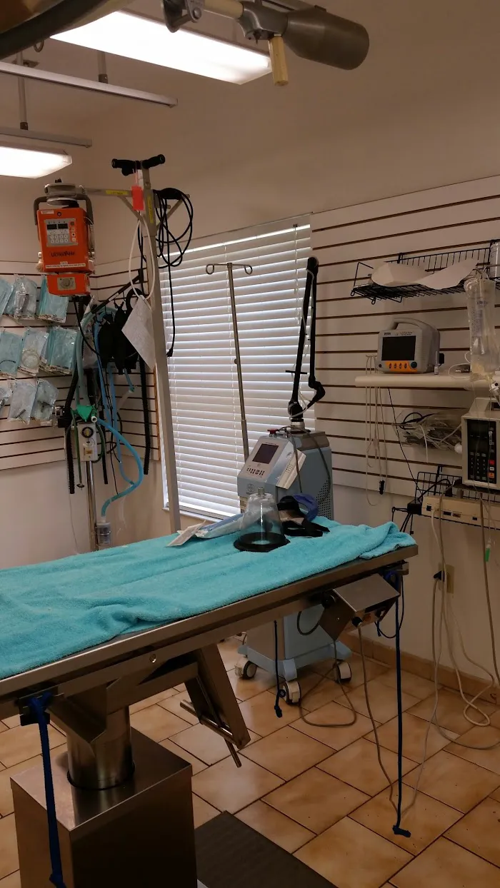 River Oaks Animal Hospital 8