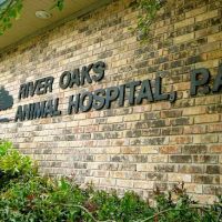 River Oaks Animal Hospital ico