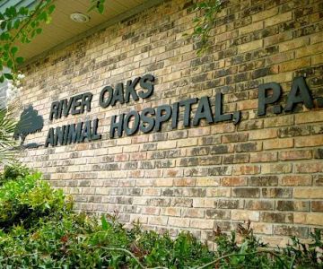 River Oaks Animal Hospital