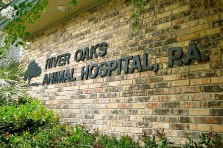 River Oaks Animal Hospital