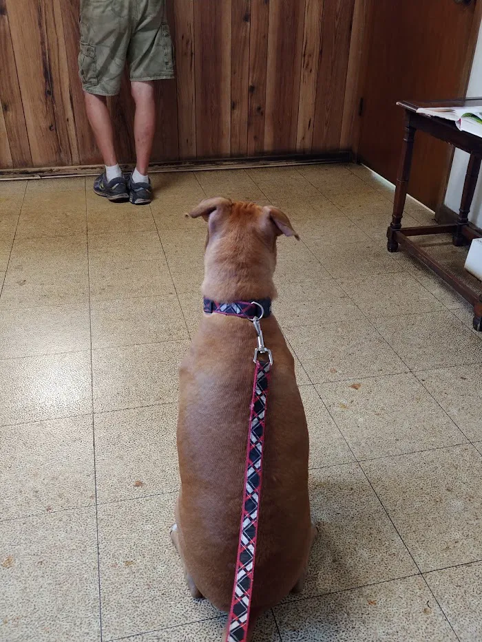 Rosemont Animal Clinic 12