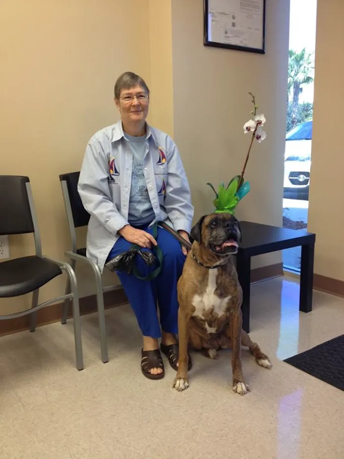 Towne Center Animal Hospital 12
