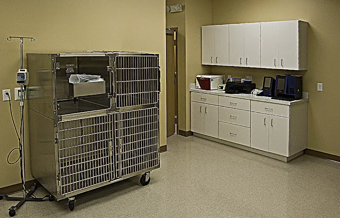 Towne Center Animal Hospital 12