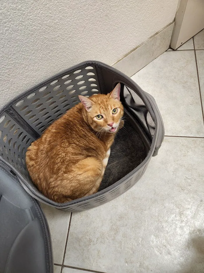 Animal Medical Clinic of Orlando 12