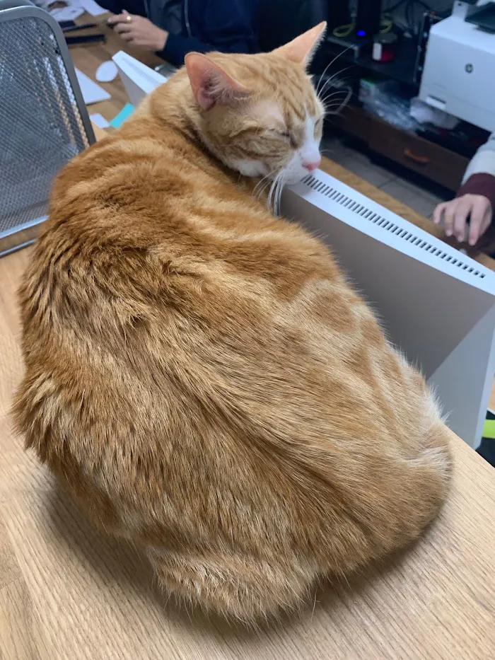 Michigan Street Animal Hospital 12