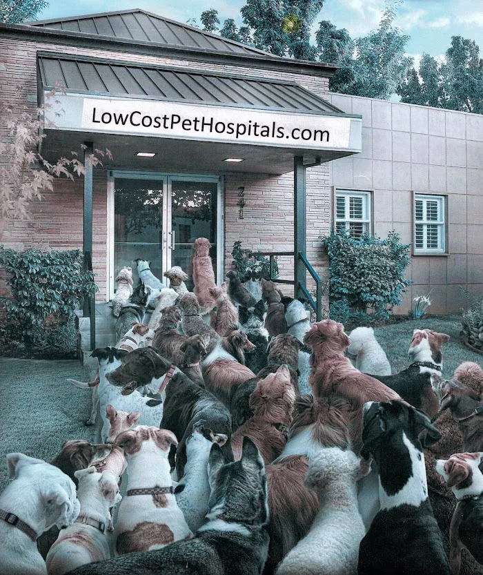 Semoran & 408 Pet Doc Hospital 12