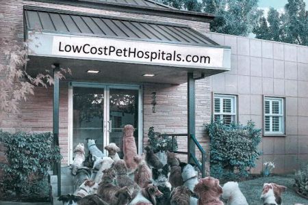 Semoran & 408 Pet Doc Hospital