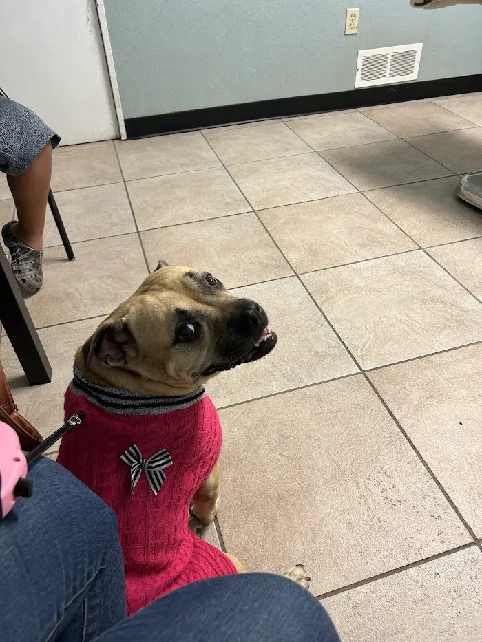 Semoran & 408 Pet Doc Hospital 12
