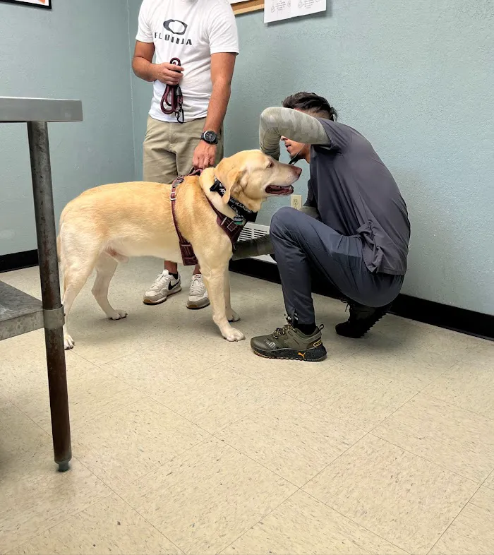 Semoran & 408 Pet Doc Hospital 12