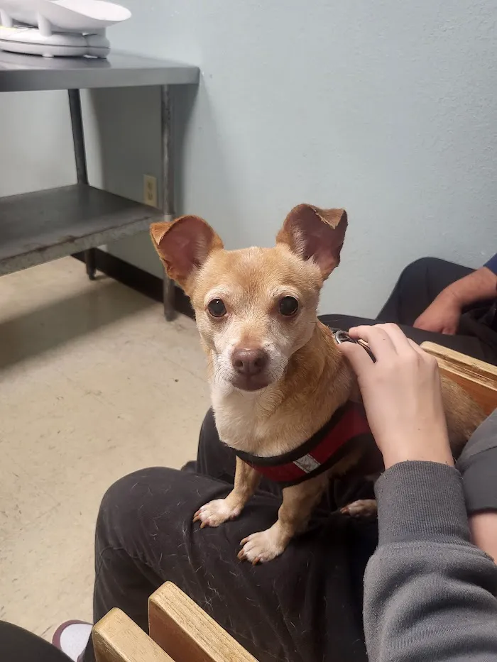 Semoran & 408 Pet Doc Hospital 12