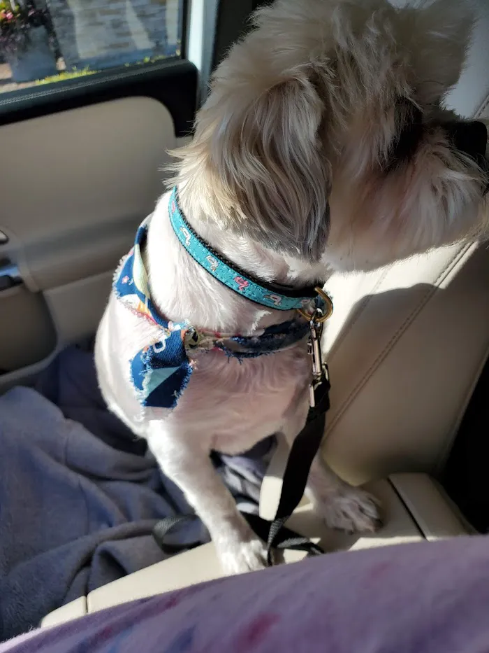 Banfield Pet Hospital 1