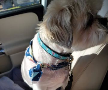 Banfield Pet Hospital