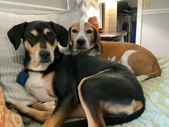 Banfield Pet Hospital 5