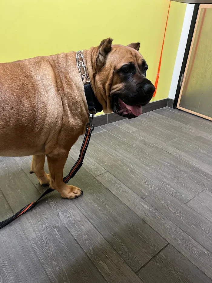 Banfield Pet Hospital 7
