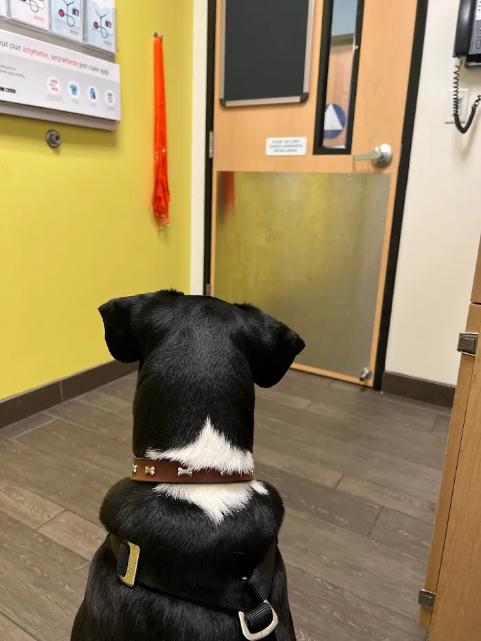 Banfield Pet Hospital 9