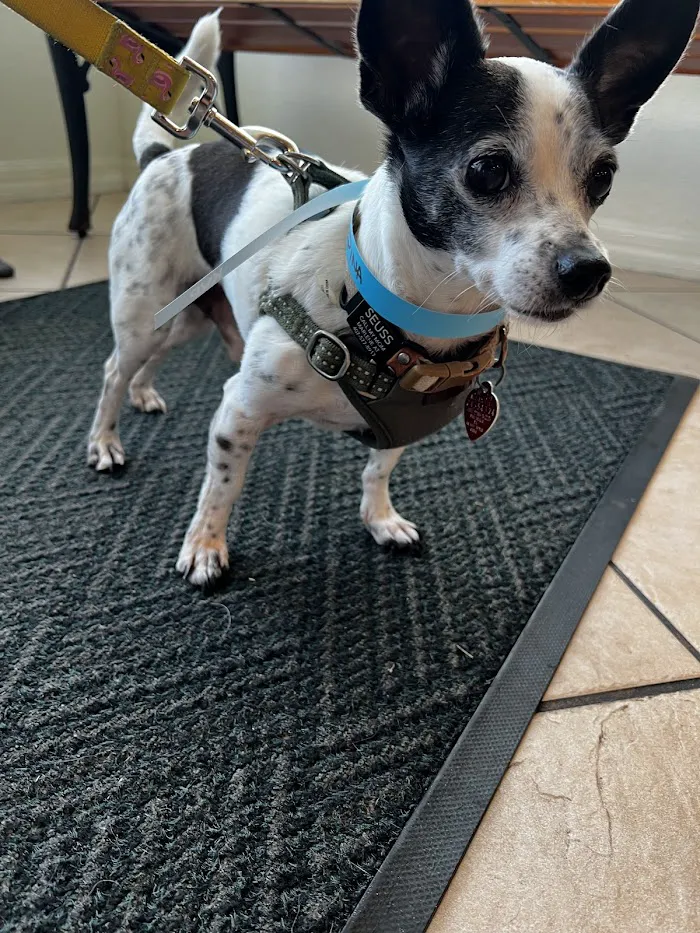 Underhill Animal Hospital 12