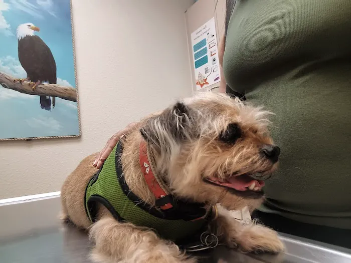 Underhill Animal Hospital 12