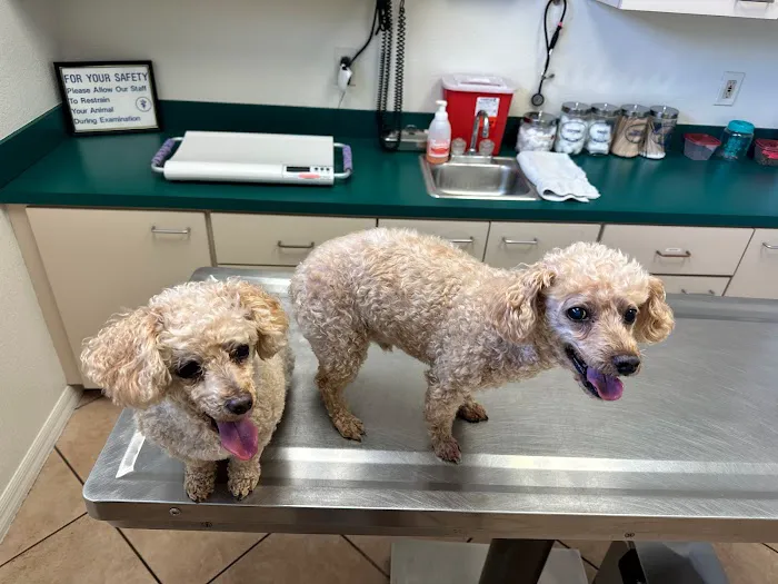 Underhill Animal Hospital 12