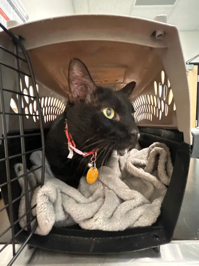 Banfield Pet Hospital 8