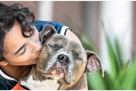 Banfield Pet Hospital