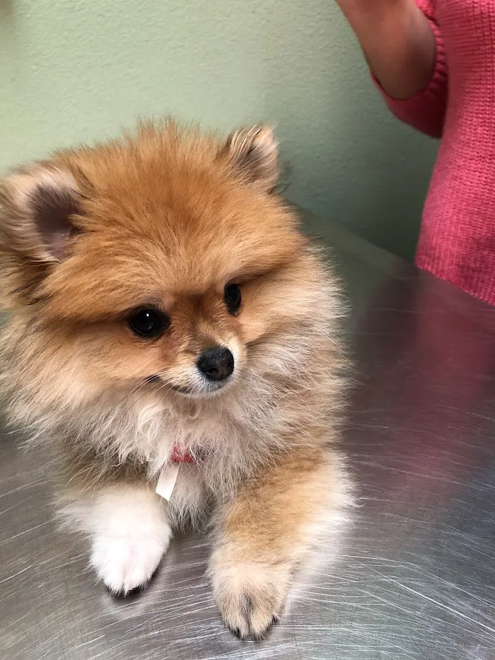 Animal Hospital at Baldwin Park 1