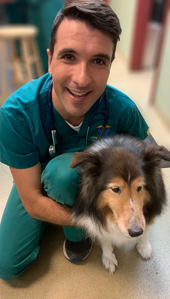 Animal Hospital at Baldwin Park 5