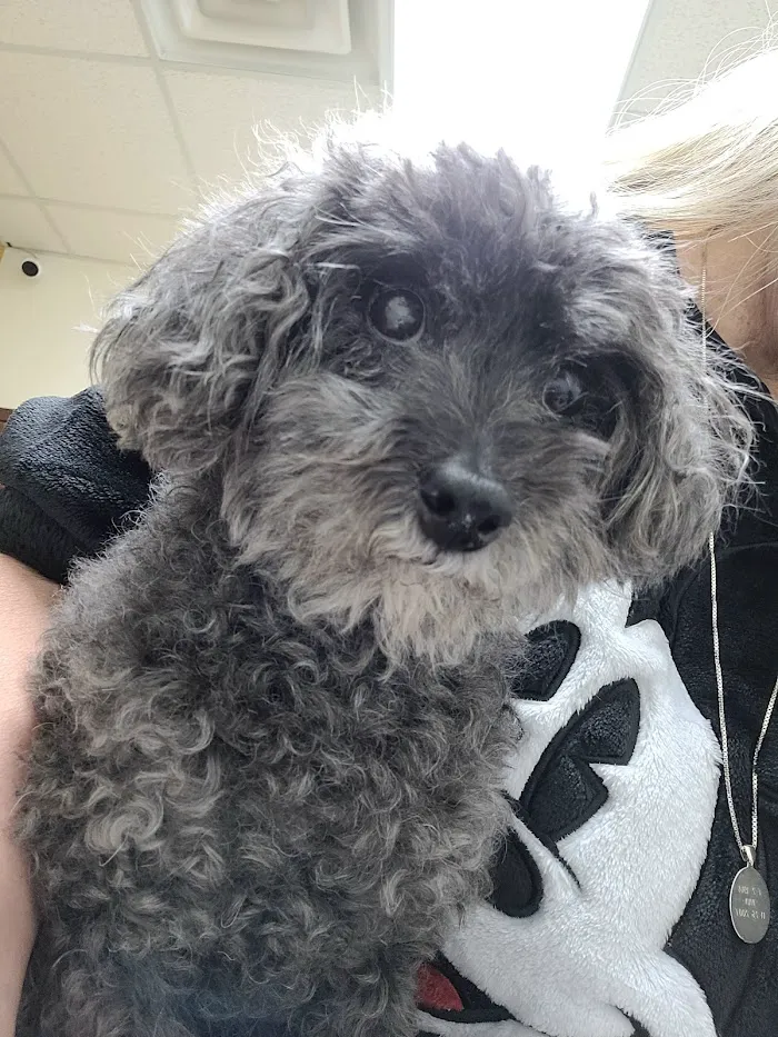 Animal Hospital at Baldwin Park 7