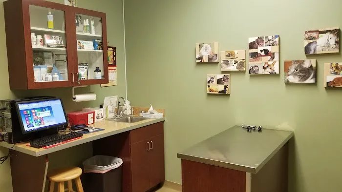 Animal Hospital at Baldwin Park 3