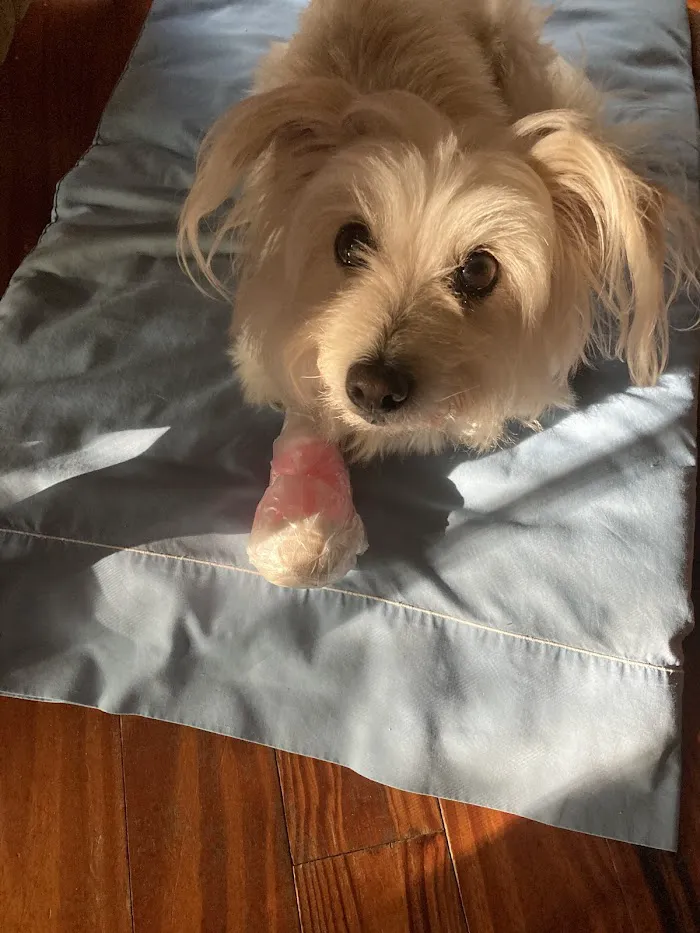 Corrine Drive Animal Hospital 12