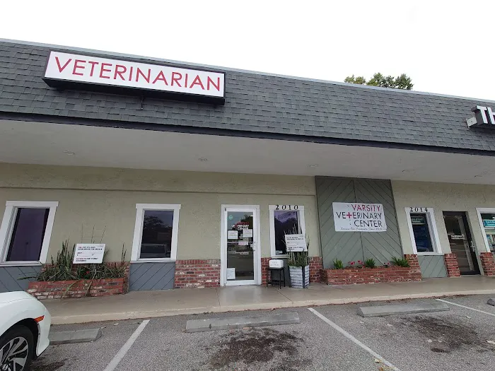 Varsity Veterinary Center 12