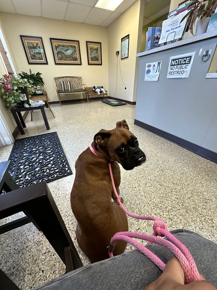 Varsity Veterinary Center 12