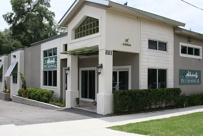 Downtown Pet Hospital 12