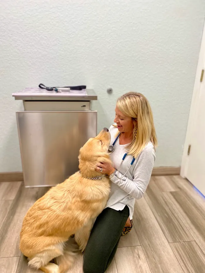 Downtown Pet Hospital 12
