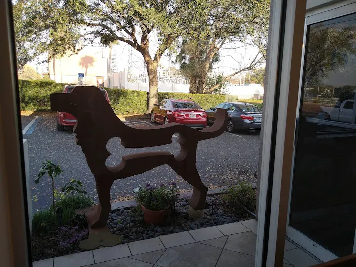 Downtown Pet Hospital 12