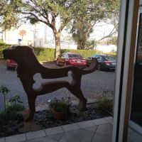 Downtown Pet Hospital ico