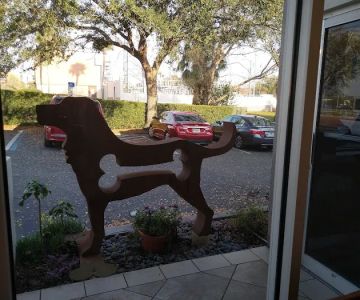 Downtown Pet Hospital
