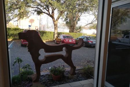 Downtown Pet Hospital