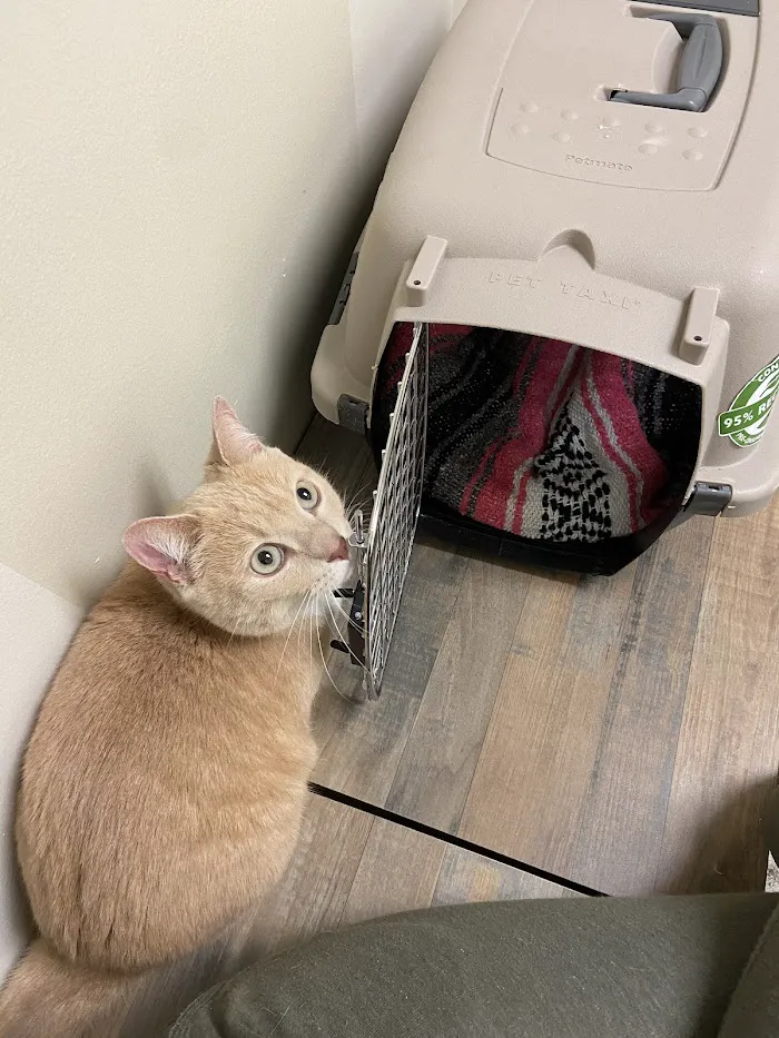 Vetco Total Care Animal Hospital 10