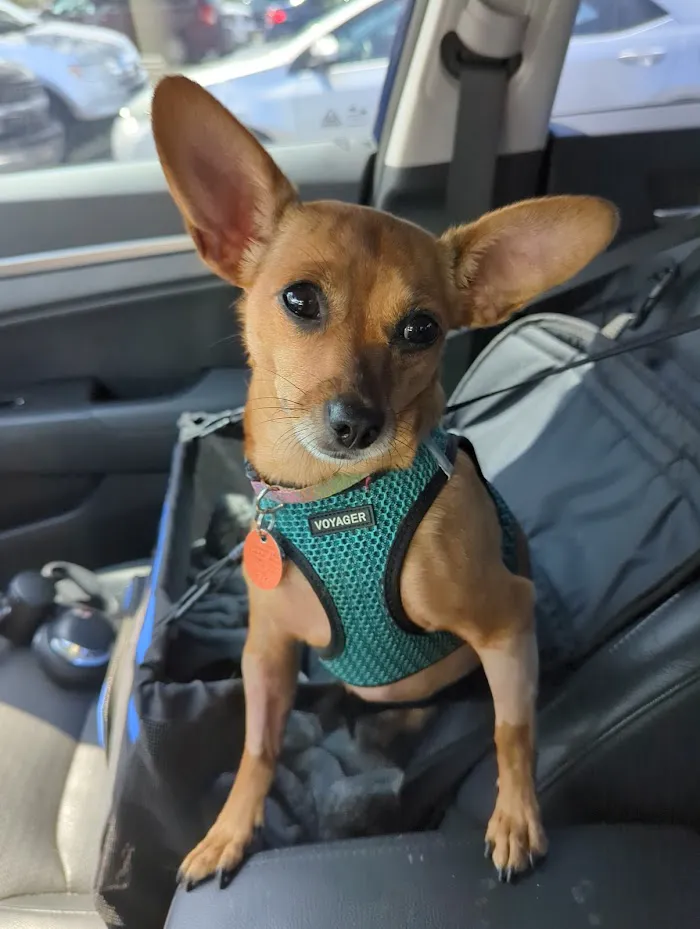 Vetco Total Care Animal Hospital 9