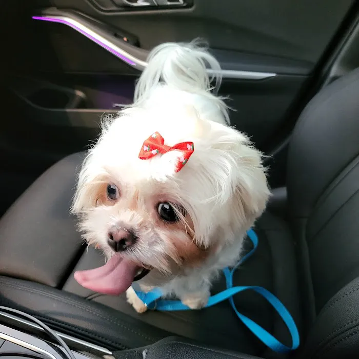 Vetco Total Care Animal Hospital 6