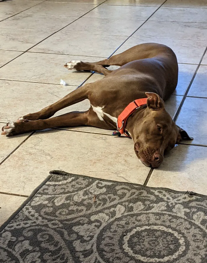 Vetco Total Care Animal Hospital 8