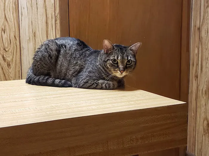 College Park Animal Clinic 12