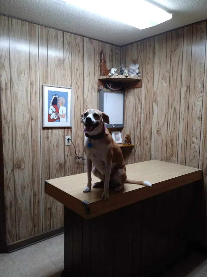 College Park Animal Clinic 12
