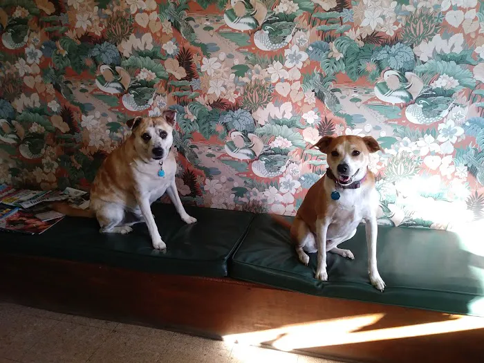 College Park Animal Clinic 12