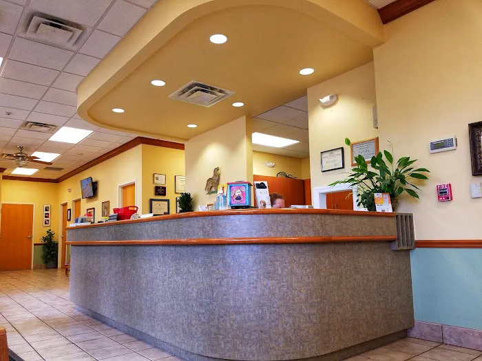 Veterinary Dermatology Center 12