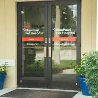 BluePearl Pet Hospital ico