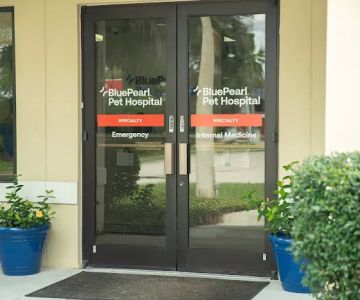 BluePearl Pet Hospital