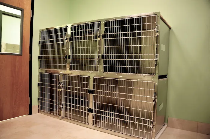 Companion Care Pet Hospital 12