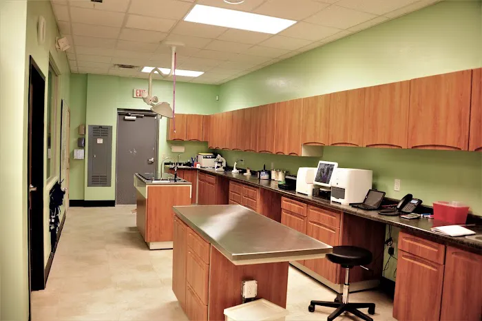 Companion Care Pet Hospital 12